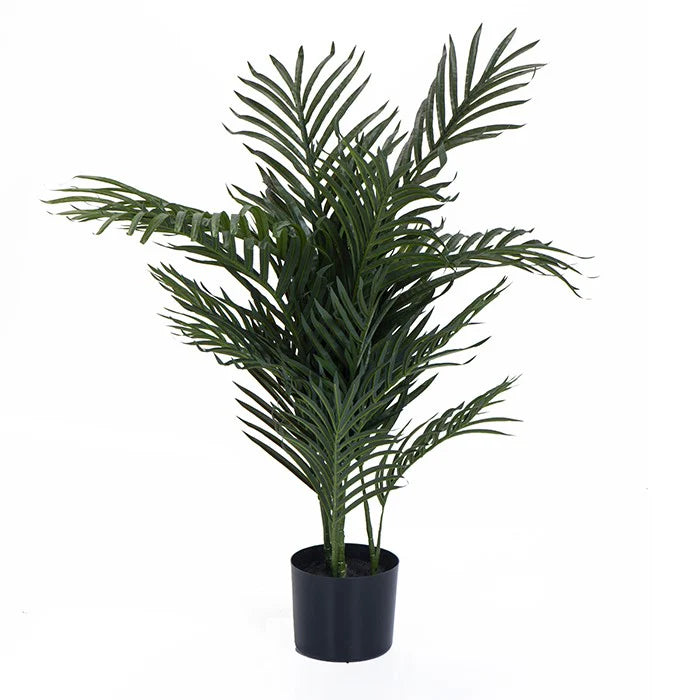 עציץ דגם TROP