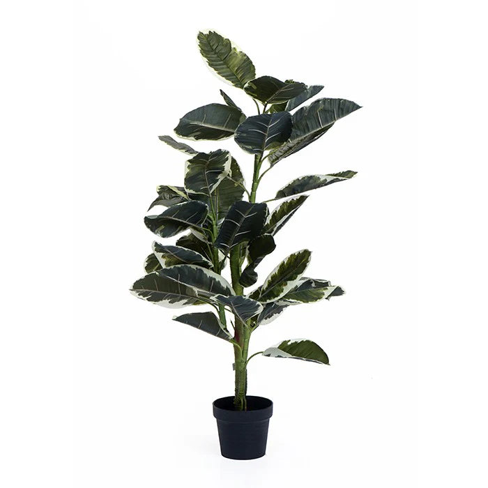 עציץ דגם BELlARUS