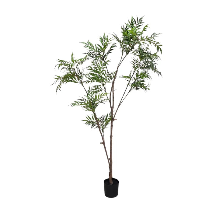 עץ ג'ונגיל דגם AYTRO