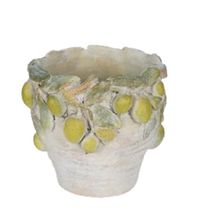פלנטר דגם AMAL