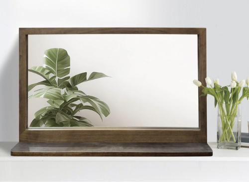 מראה דגם ROLAS