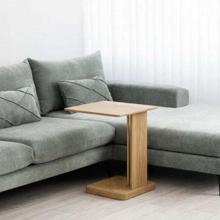 נשכן דגם ELGO