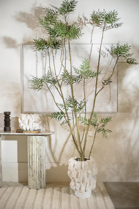 עץ ג'ונגיל דגם AYTRO