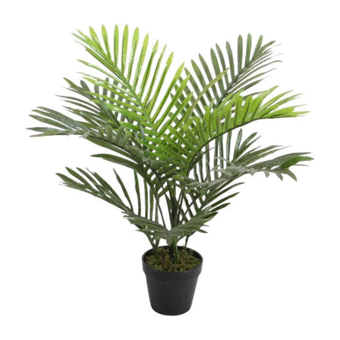 עציץ דגם MINO