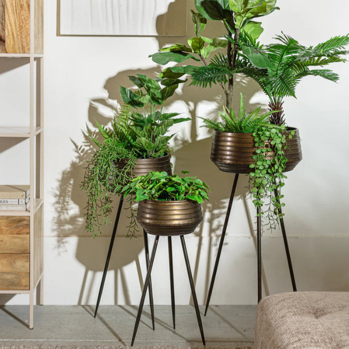 בית עציץ מעוצב 