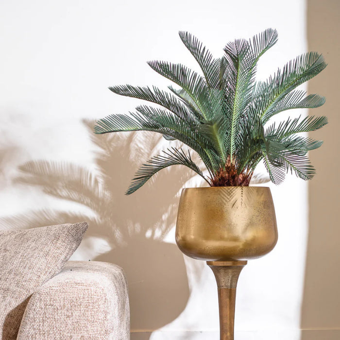 עציץ דגם TROP