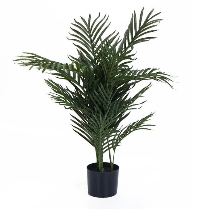 עציץ דגם TROP