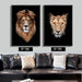 תמונות הדפס אריה ולביאה LION & LIONESS - קארמה