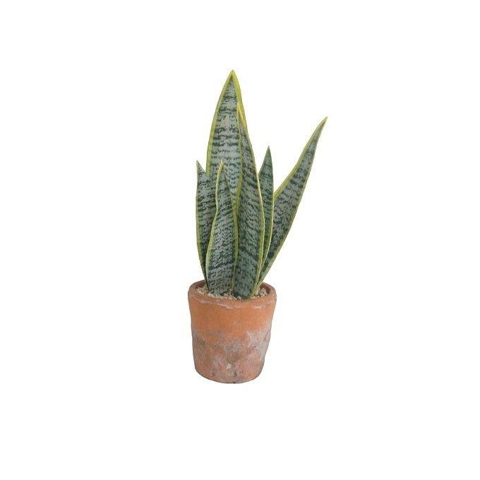 עציץ סנסינווריה מלאכותי SANSEVIERIA PLANT - קארמה